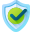 Domain security protection shield showing SSL and safety features